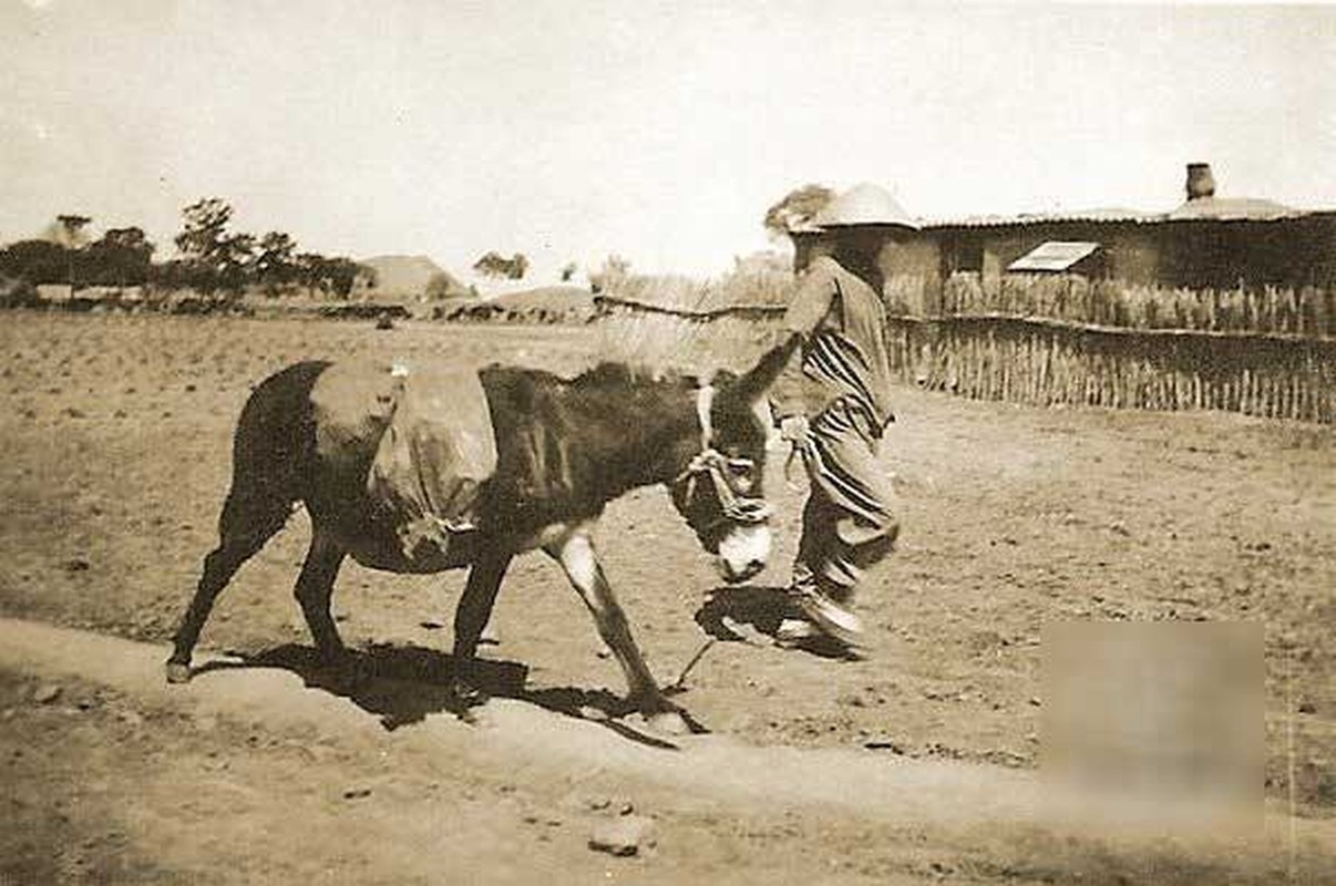 Loat anh hiem hoi ve thanh pho Thien Tan thap nien 1920-Hinh-10